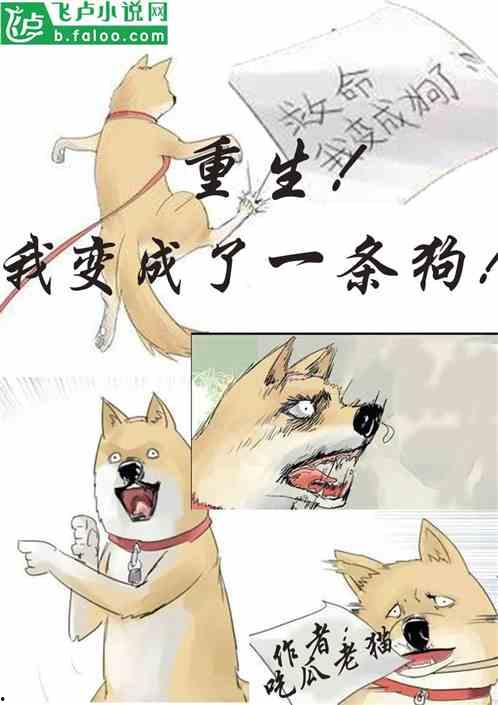 带你吃瓜炼丹小说免费阅读,奇幻世界中的美食与修炼之旅