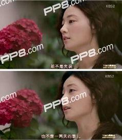 三流之路15在线观看,逆袭之路，梦想再起航